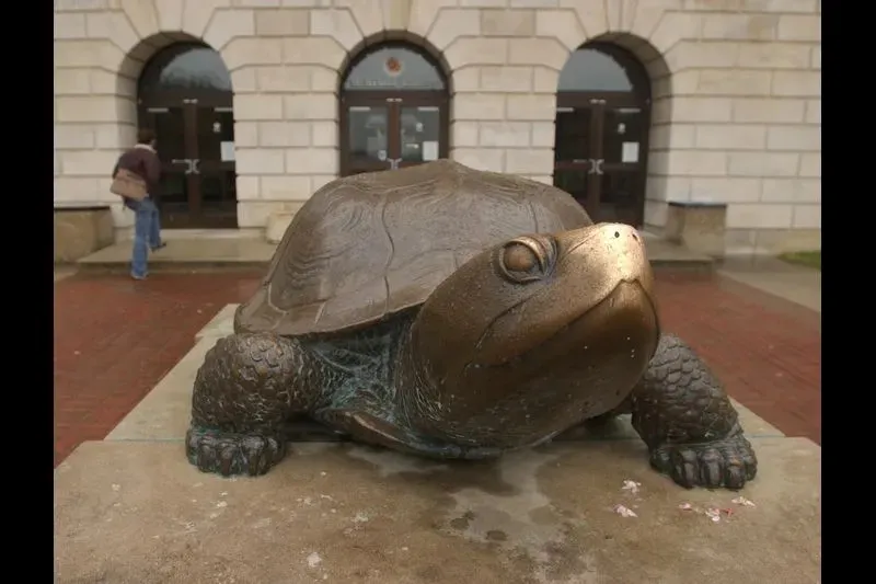 testudo mascot the terrapin