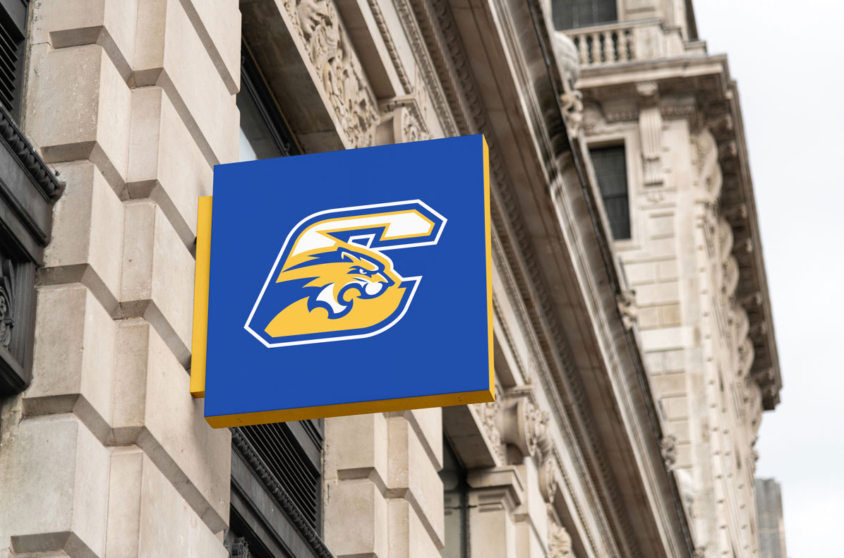 Crisp County Middle School Logo Design & Mascot visual 6