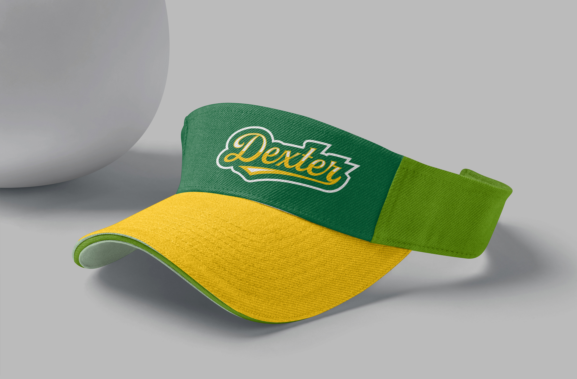 Dexter Middle School Mascot Logo Design visual 3