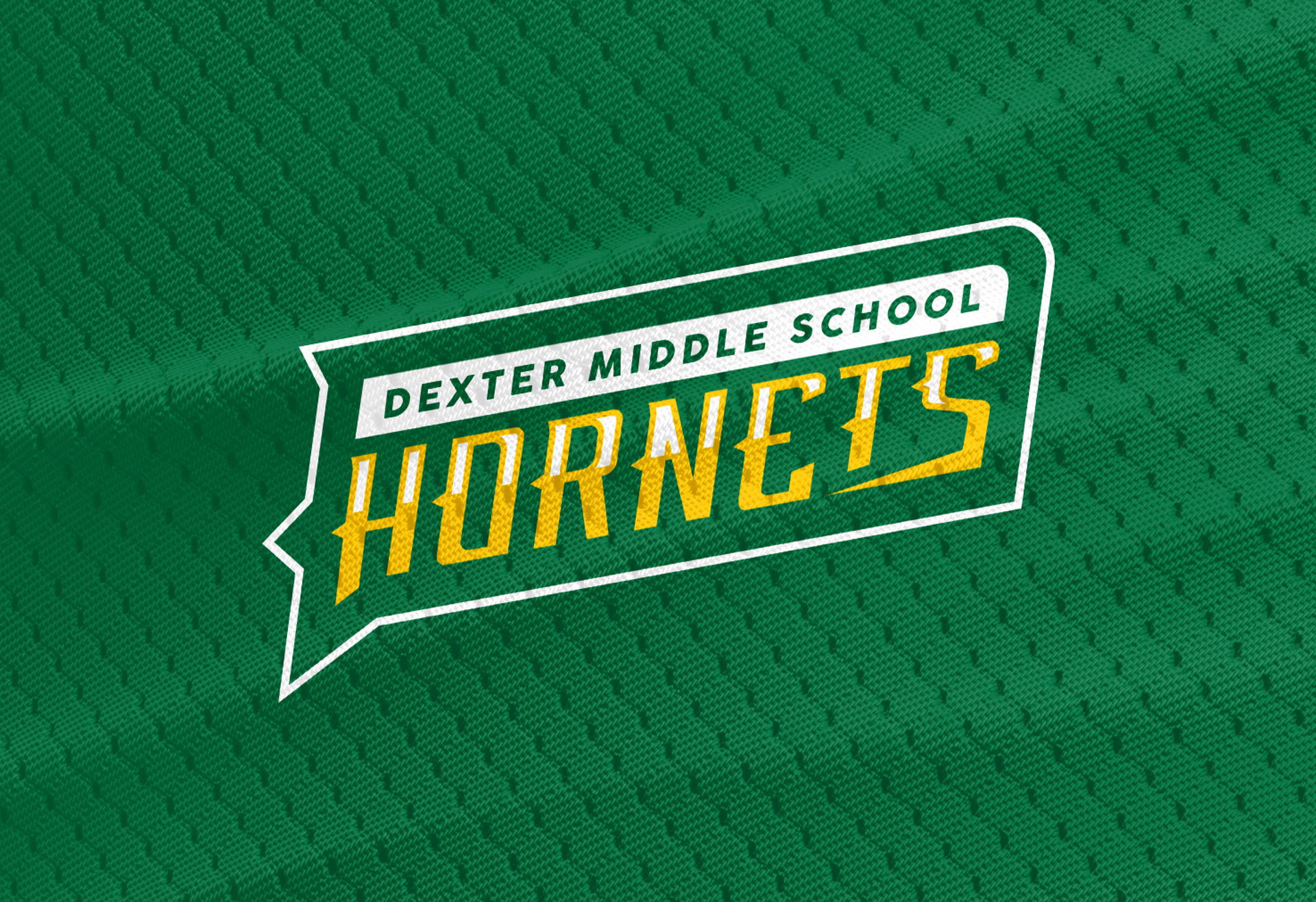 Dexter Middle School Mascot Logo Design visual 6