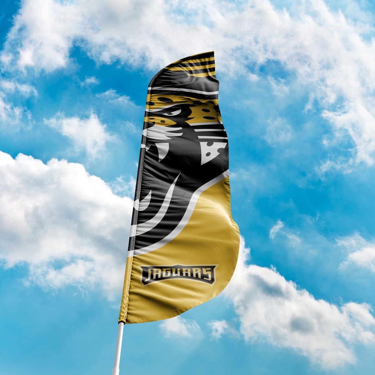 Jepson Jaguars School Brand Identity visual 22