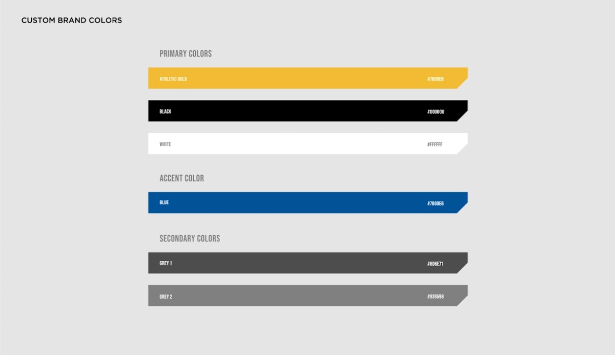 Jepson Jaguars School Brand Identity visual 10