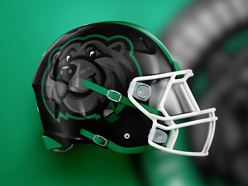 Narcoossee Elementary School Logo Bear Mascot