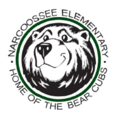 Narcoossee Elementary School Logo Bear Mascot hero visual