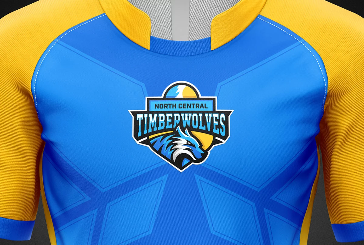 North Central Michigan College Mascot Design hero visual