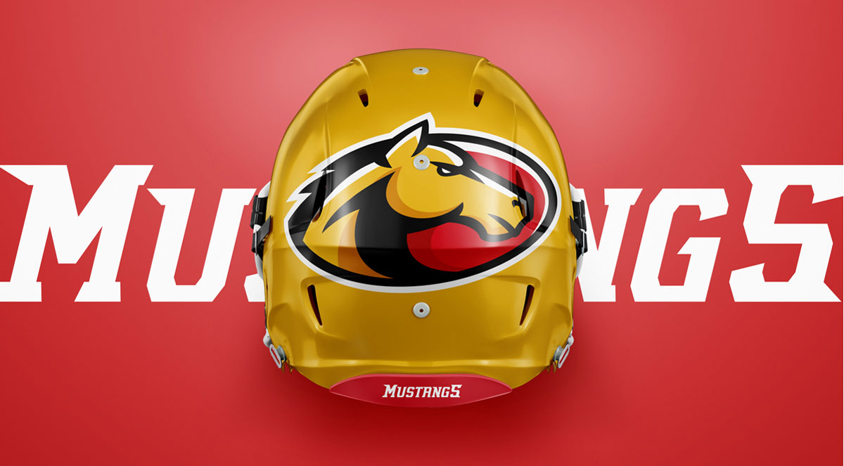 St. Cloud Middle School Logo Design & Mascot visual 4