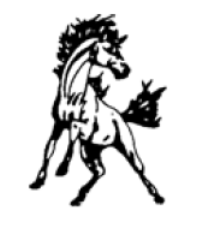 St. Cloud Middle School Logo Design & Mascot hero visual