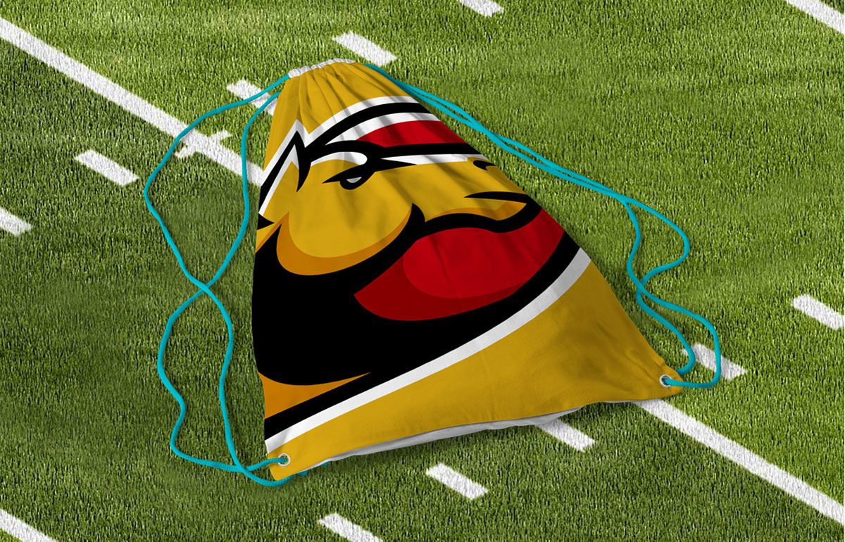 St. Cloud Middle School Logo Design & Mascot visual 9