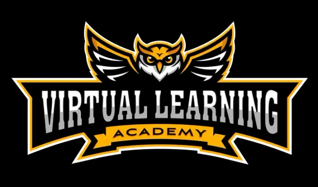 Virtual Learning Academy Logo Design | School Branding Agency