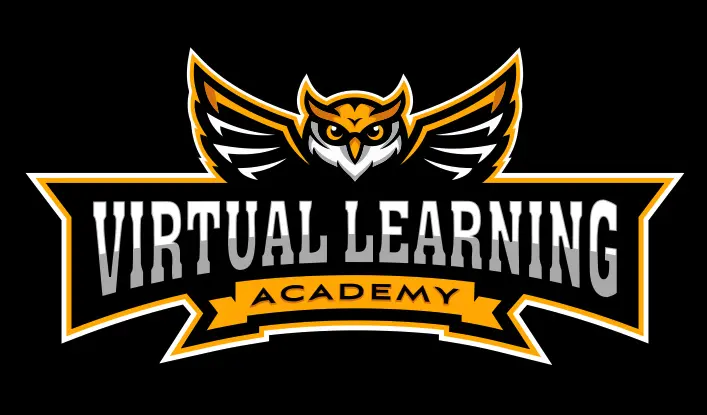 Virtual Learning Academy Logo Design | School Branding Agency