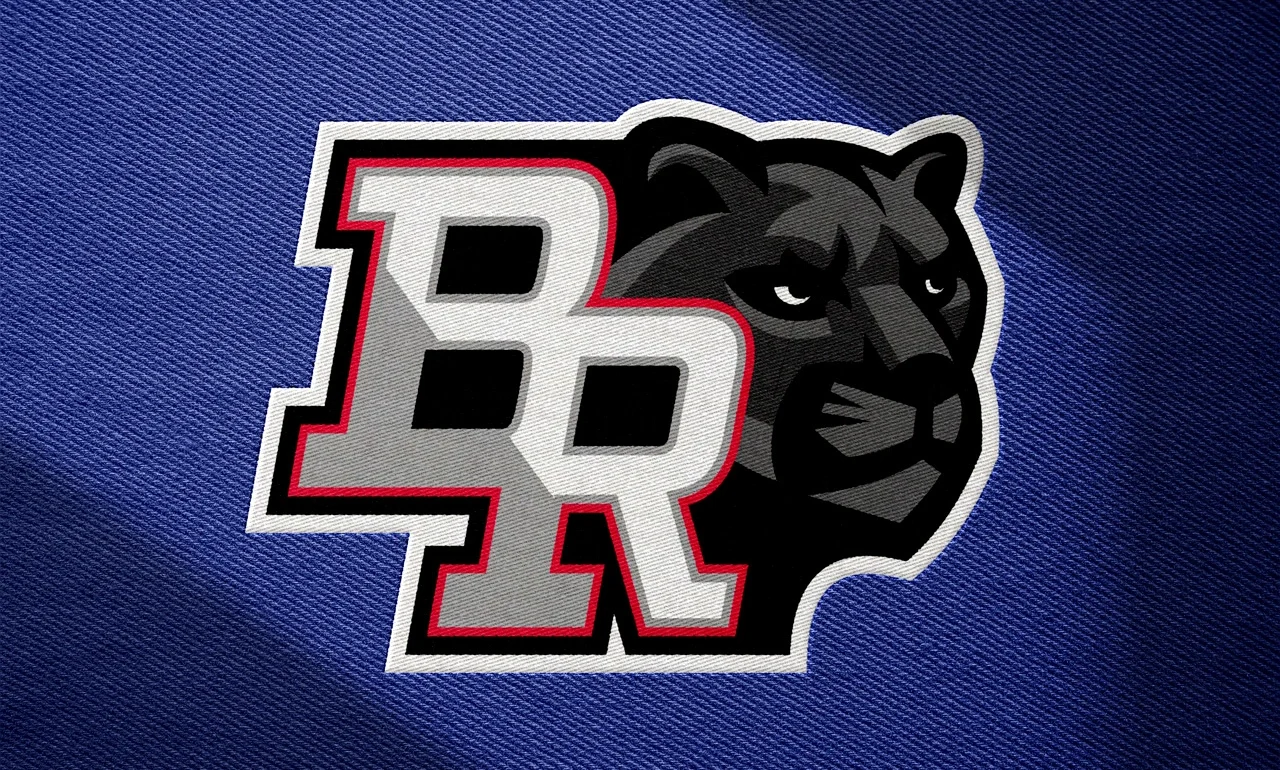 Harmony Community School Logo Mascot visual 14