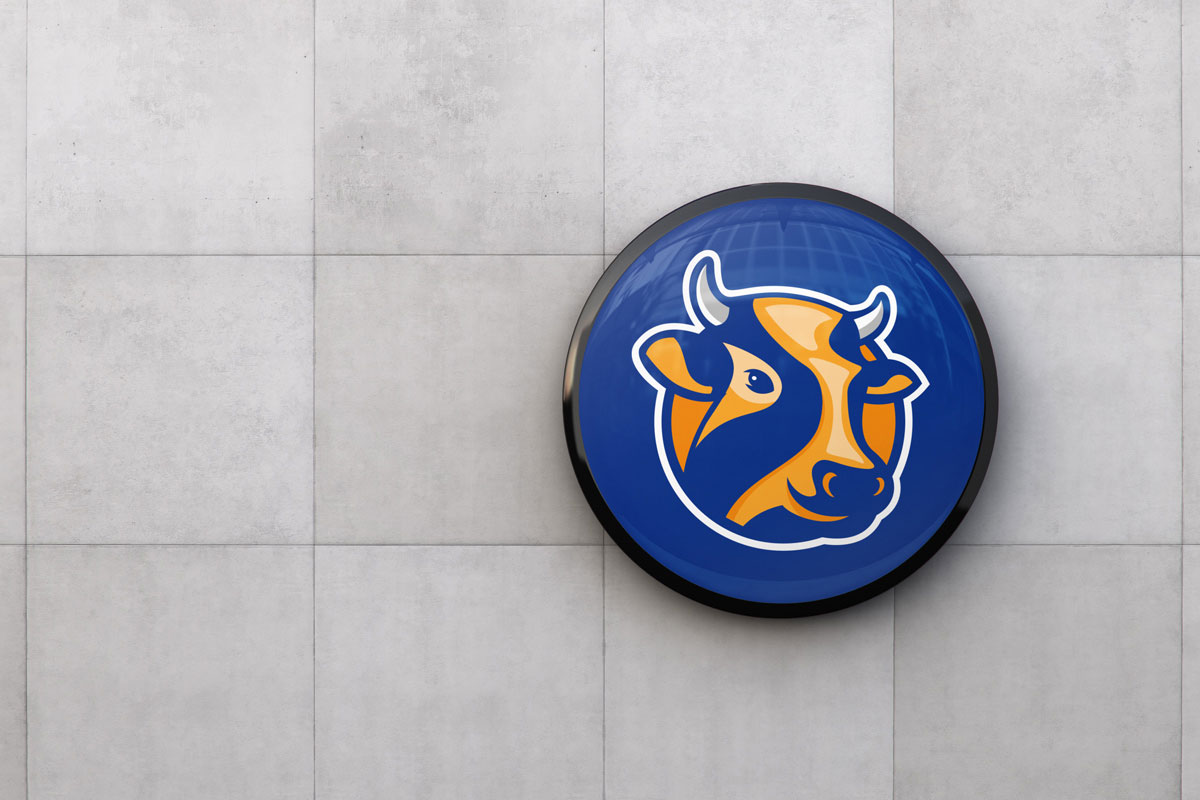 Harmony Community School Logo Mascot visual 5