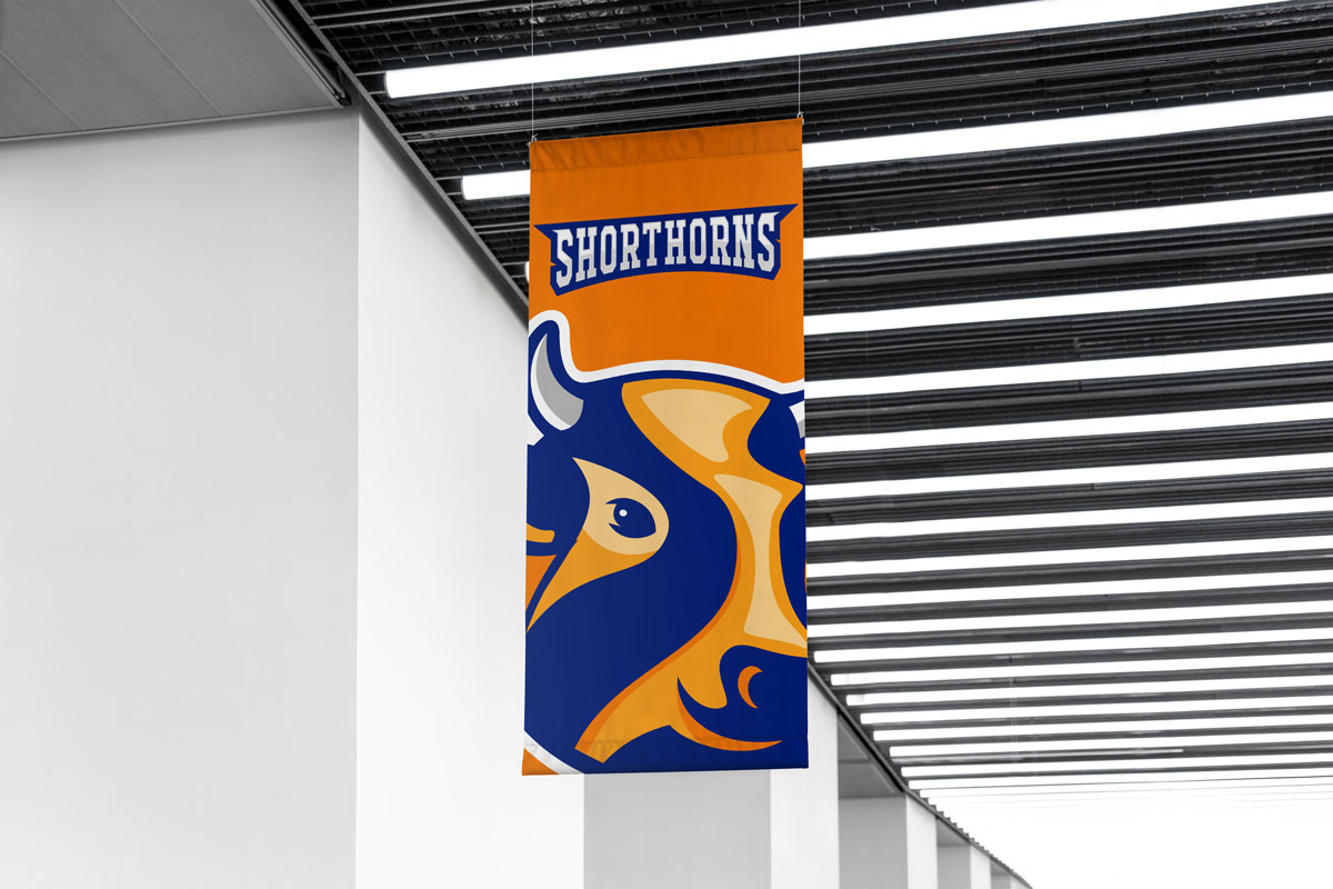 Harmony Community School Logo Mascot visual 7