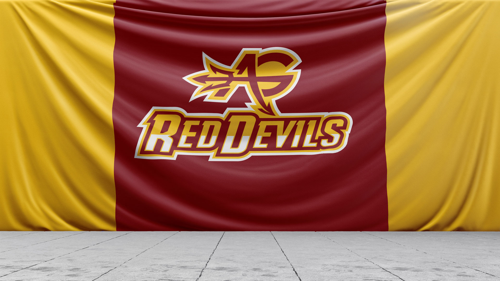 School District Mascot Logo Design & Brand Identity visual 3