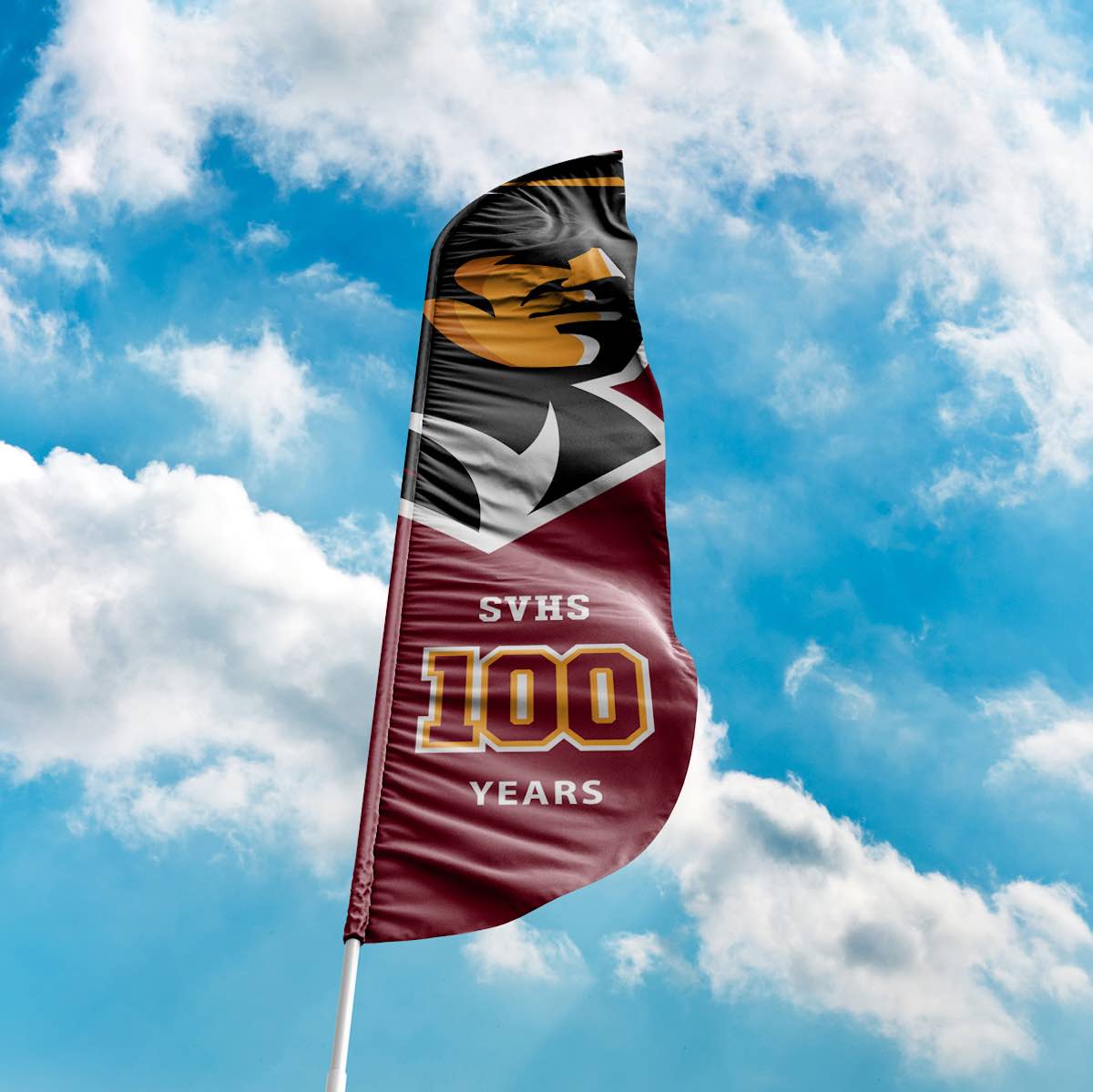 Simi Valley High School Brand Identity visual 10