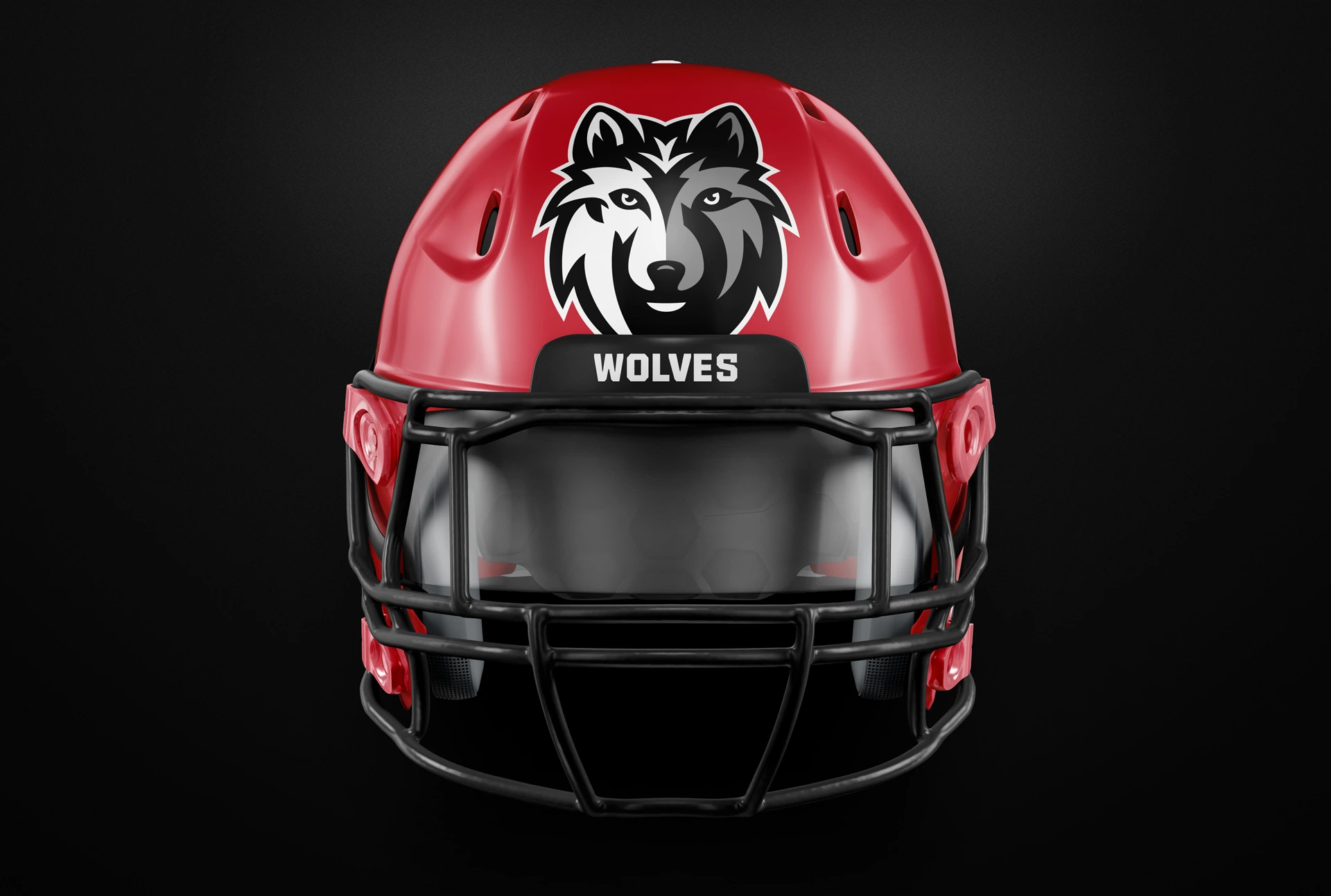 Willsboro Central School Mascot Logo & Branding visual 3