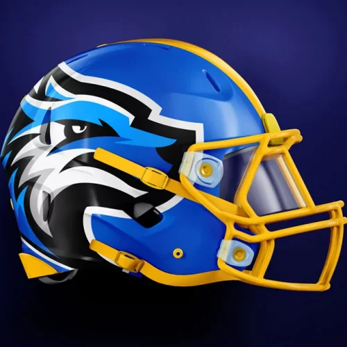 north central michigan college football helmet